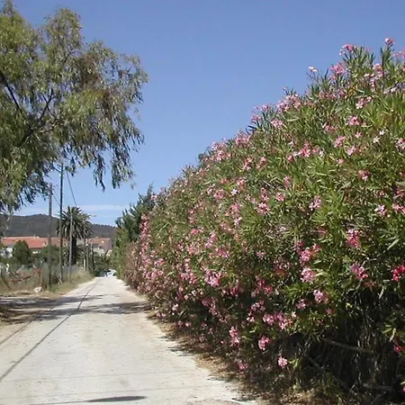 Les Lauriers * Hyères